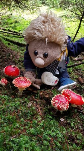 20221003_152641